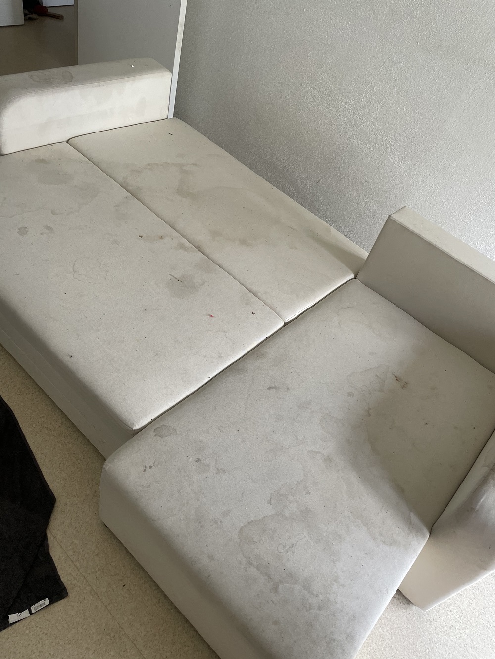 image0 (3)